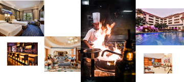 Luxurious Hotel in Juhu - Seafront Hotel near Mumbai Airport | Sun N 
    Sand